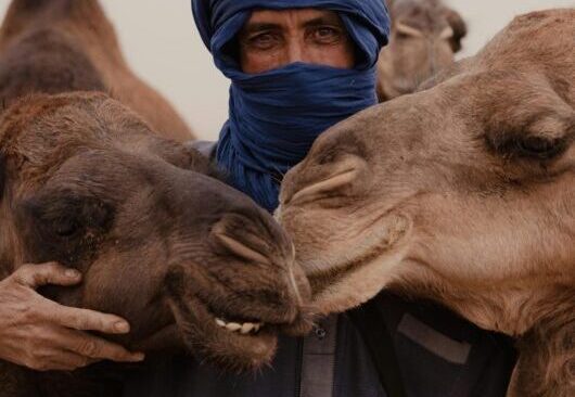 morocco tour morocco tour